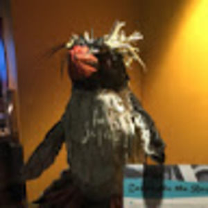 Meet your Posher, Kristin